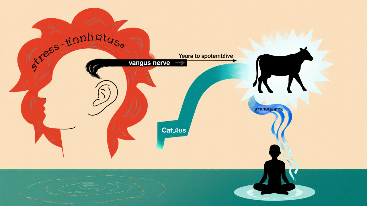 Cartoon showing stress hormones as red clouds and yoga breath calming the nervous system.