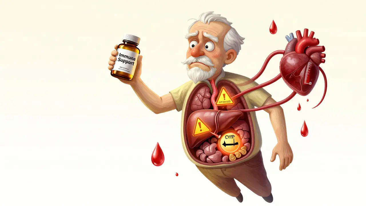 An elderly man holding goldenseal as his internal organs display warning signs.